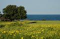 Chypre07 - 2007-03-11_16-00-30
